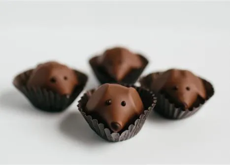 ¿Por qué es tan malo el chocolate para los perros? Una calculadora te permite averiguarlo