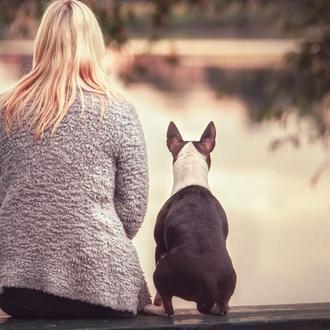 Para una inmensa mayoría de personas perrunas la pérdida de …