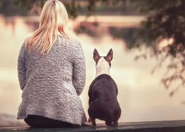 Para una inmensa mayoría de personas perrunas la pérdida de su can puede ser más dura que la de un familiar