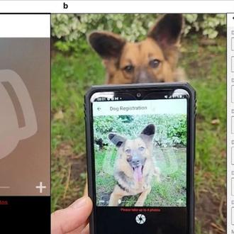 Cómo una app de reconocimiento facial de perros ayuda en …