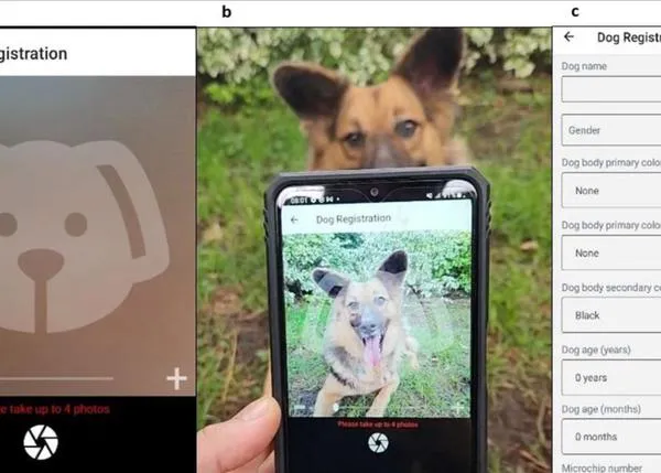 Cómo una app de reconocimiento facial de perros ayuda en la lucha para erradicar la rabia