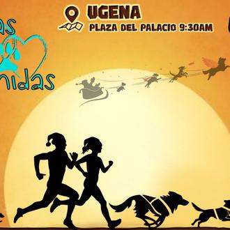 Eventos solidarios para familias con perro: Mercadillo en Moaña, Canicross …