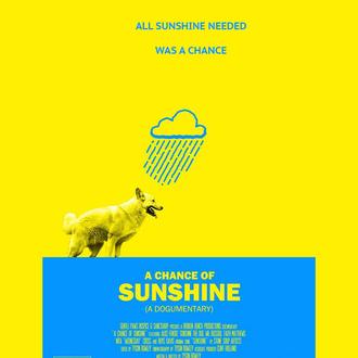 La oportunidad de Sunshine, un documental sobre una perra maltratada …