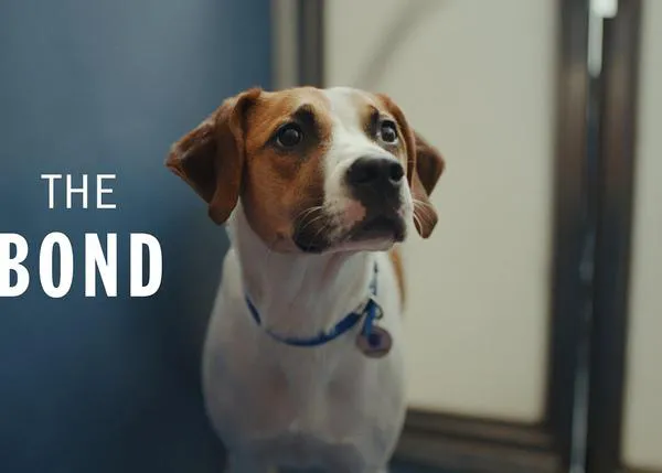 El Vínculo, un precioso vídeo dedicado al (gran) trabajo que hay antes de que un perro llegue a ser adoptado