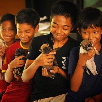 Los perros de Bali: el reto de cambiar el futuro …