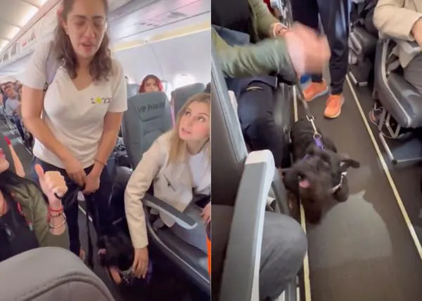 Bajan del avión a una joven que iba con su perro de apoyo emocional porque no llevaba puesto el bozal