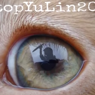 #StopYulin2015, el mundo se moviliza contra el atroz festival de …