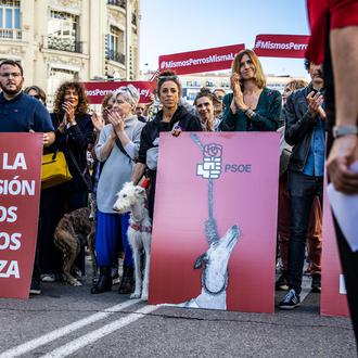 Semana crucial para los animales en España: Tweetstorm definitivo el …