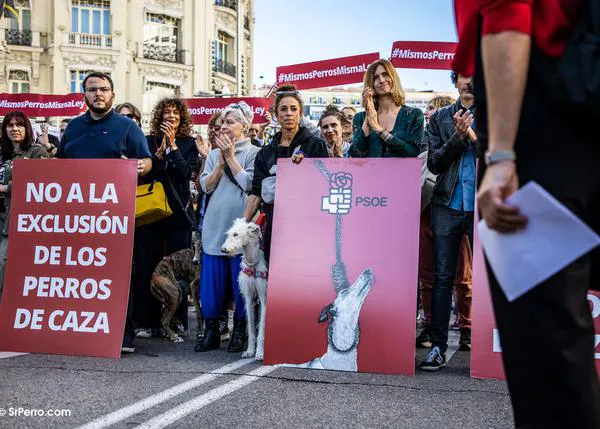 Semana crucial para los animales en España: Tweetstorm definitivo el lunes 19 a las 5 pm