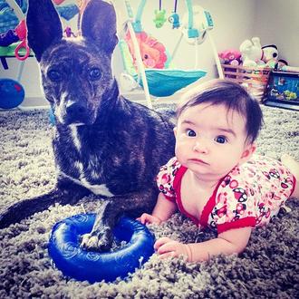 Monodósis de sonrisas perrunas: un bebé y un can comparten …
