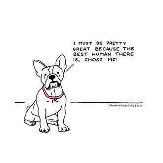 Perros existencialistas: viñetas caninas que generan sonrisas para combatir la …