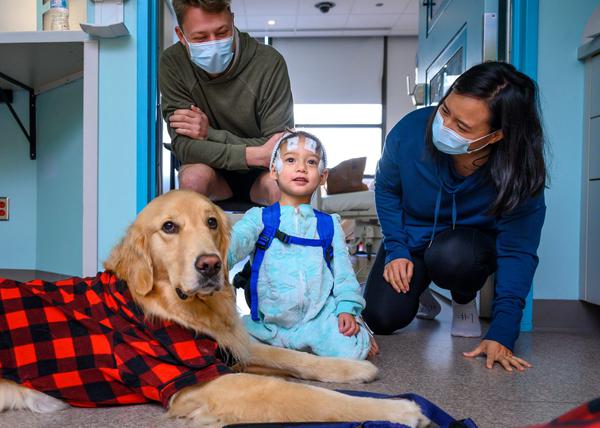 se permiten perros en el hospital