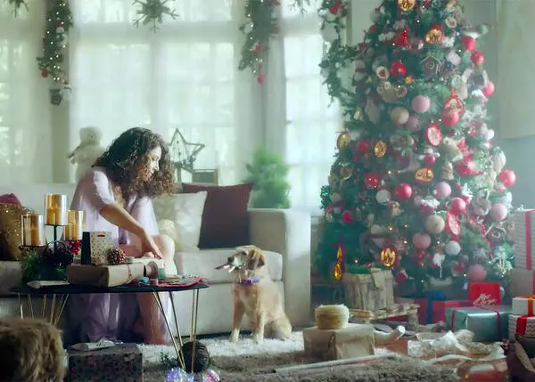 El regalo de una navidad en familia: un anuncio de lo más perruno y bonito que vino de Ecuador