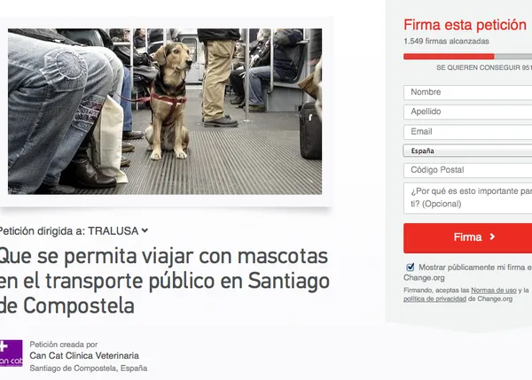 Los perros (pequeños) suben al autobús en Santiago de Compostela 
