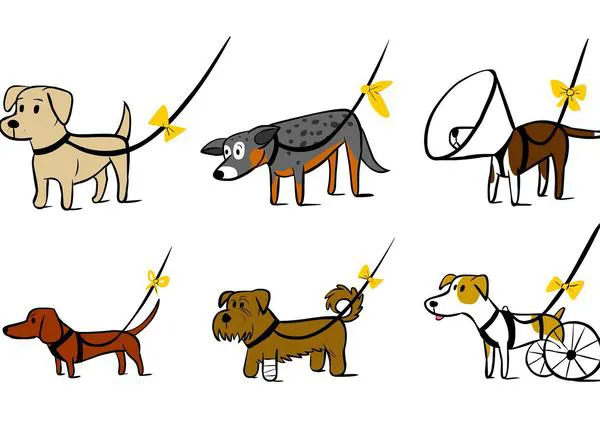 Los perros amarillos: una iniciativa extremadamente útil para ayudar a canes que necesitan (más) espacio