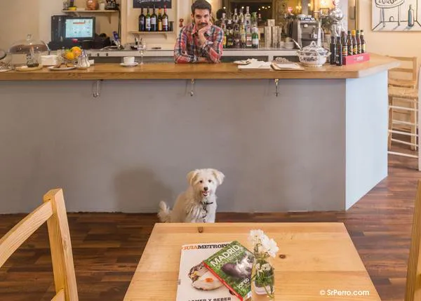 Dónde comer (bien) de menú en Madrid y con tu perro al lado (actualizado 2023)