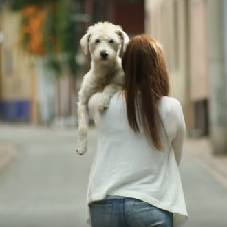 Los perros adoptados que encuentran la felicidad y así la …