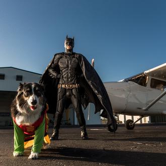 Batman versión rescatador de perros y gatos: un hombre disfrazado …