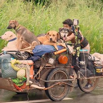 Un (buen) hombre recorre México ayudando a los perros que …