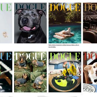 Vogue rinde homenaje a los perros en Dogue, una genial …