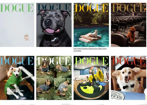 Vogue rinde homenaje a los perros en Dogue, una genial serie dedicada a los canes de actrices, políticos, músicos...