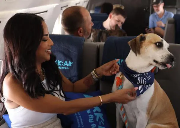 ¿Cómo ha sido el primer vuelo de la primera línea aérea pensada especialmente para volar con perros de todos los tamaños?