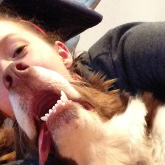 Comparte los mejores #SelfieKO de tu perro ¡y consigue una …