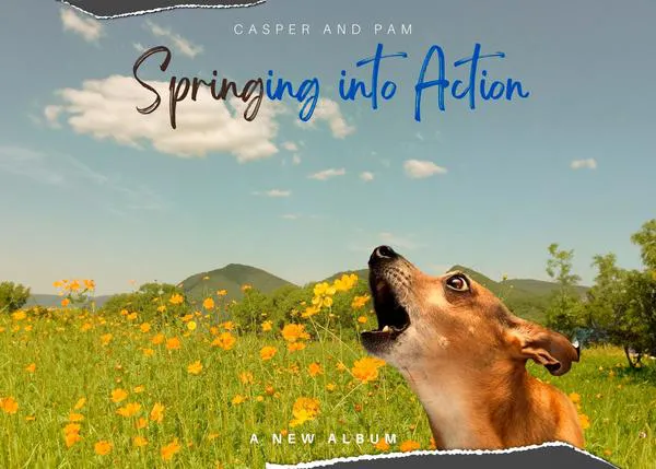 Apártate Taylor Swift, que llega el nuevo álbum de Casper y Pam, el chihuahua 