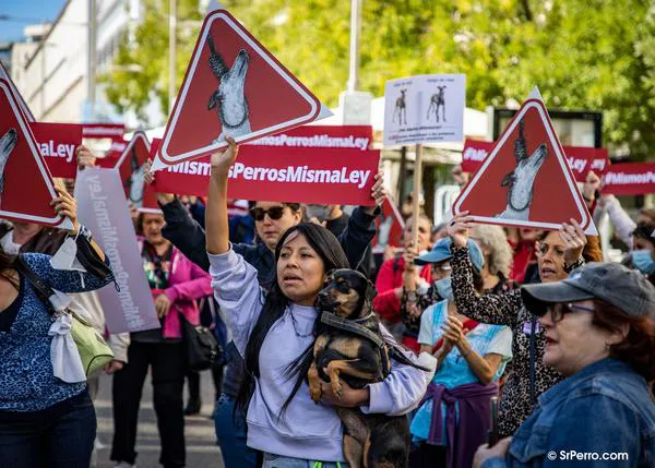 Cartas a Pedro Sánchez, concentraciones en 24 ciudades españolas... siguen las movilizaciones de #mismosperrosmismaley