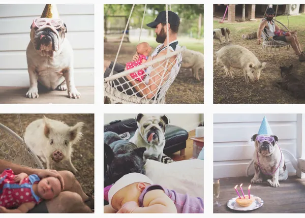 Tres perros, un bebé y su mejor amiga, una minicerdo: una familia que enamora a primera vista