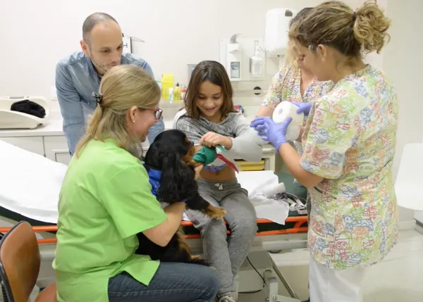 Intervenciones asistidas en urgencias pediátricas: los perros que combaten el miedo