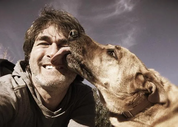 Los perros reconocen la felicidad en las caras humanas más que cualquier otra emoción
