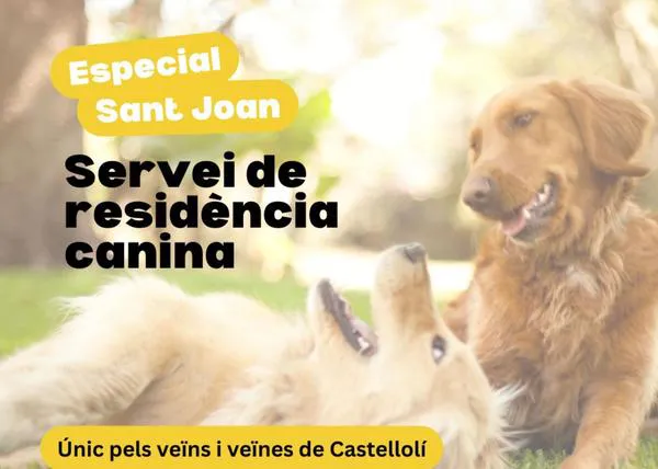 Para evitar el estrés de los petardos en Sant Joan, un ayuntamiento cubre el gasto de la residencia canina