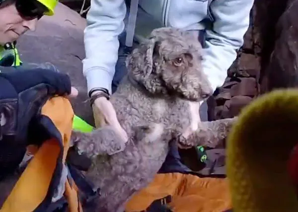 Rescate de vértigo de un hombre y su perro por parte de los Bomberos de Valencia, izados hasta un helicóptero