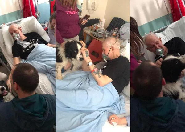 Un hospital le concede su último deseo a un hombre enfermo terminal: poder ver a su perro