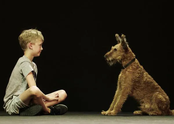 Los secretos de una amistad inquebrantable: un documental sobre el vínculo entre perros y personas