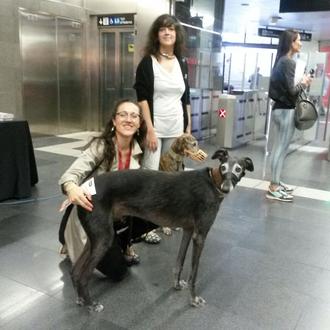 Perros en el metro de Barcelona: Vadim y sus amigos …