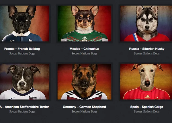 Ingeniosas fotografías de perros futbolistas, desde el chihuahua mexicano al galgo español