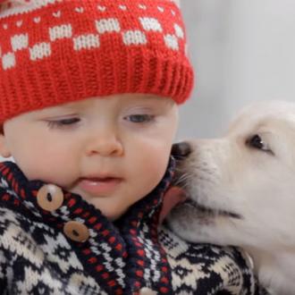 Una felicitación navideña llena de besos: cachorrotes, bebés y gatitos …