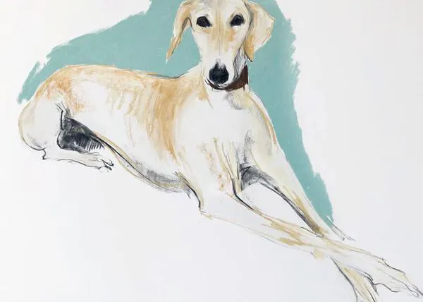 La fabulosa artista canina, Sally Muir, dedica su nuevo libro a los perros adoptados