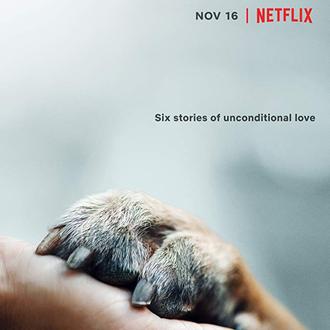 Netflix estrena 'Amigos Caninos', un documental sobre el inquebrantable vínculo …