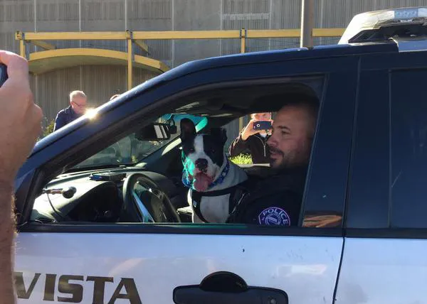 Un perro policía ayuda a fomentar las adopciones de sus congéneres y canes de protectora se convierten en policías por un día