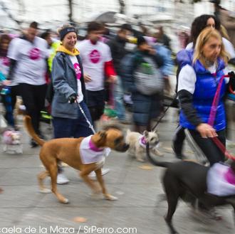 San Perrestre 2012: fotos de la carrera más solidaria y …