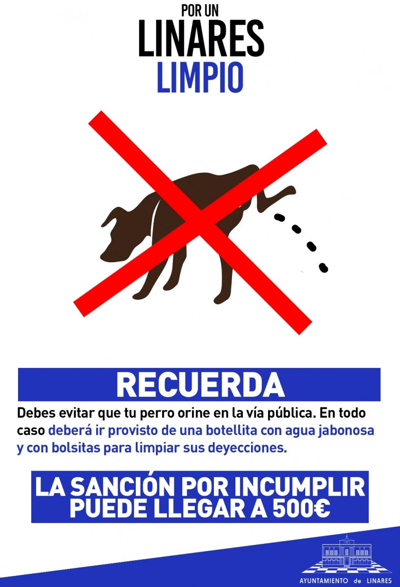 Ciudades de España en las que es obligatorio echar agua a los pises de los  perros